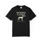 Domini Canes Hound & Torch Dominican Catholic T-Shirt