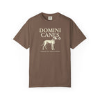 Domini Canes Hound & Torch Dominican Catholic T-Shirt